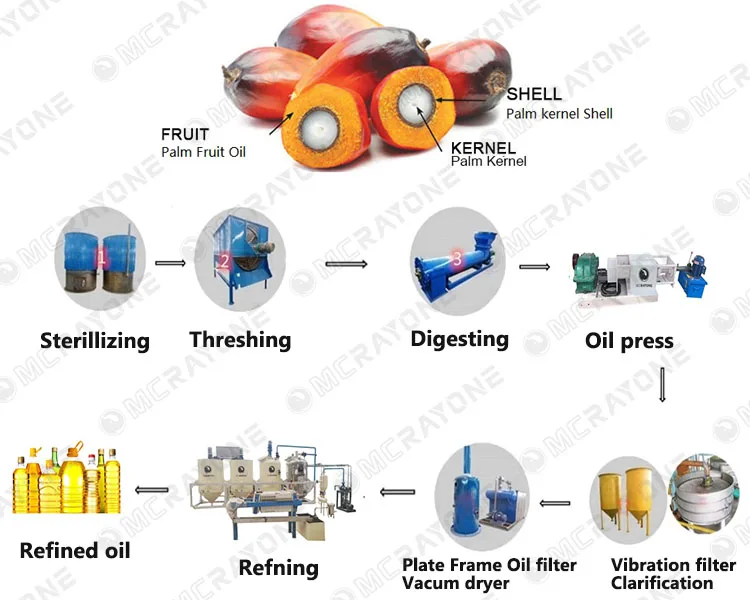 آلة استخلاص زيت النخيل معدات ص - مراجعة Home Cooking Oil Making Machine وسعره
