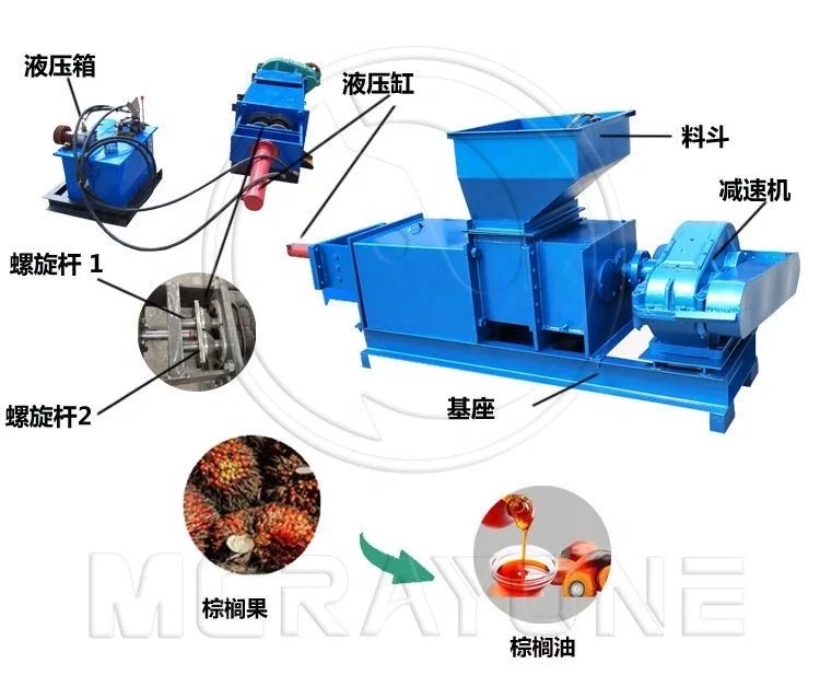 آلة استخلاص زيت النخيل معدات ص - مراجعة Home Cooking Oil Making Machine وسعره