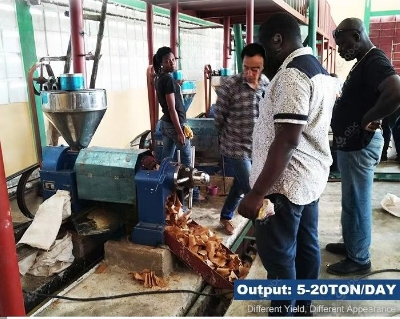 آلة ضغط ومعالجة الزيوت عالية ا - مراجعة Home Cooking Oil Making Machine وسعره